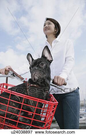 Young woman and French Bulldog View Large Photo Image Stock Photo - Young woman and French Bulldog. Fotosearch