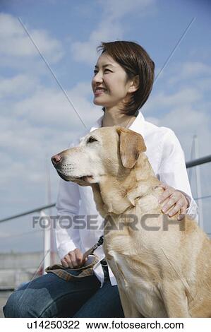 Young woman and Labrador retriever View Large Photo Image Stock Image - Young woman and Labrador retriever. Fotosearch