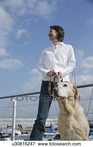 Young woman and Labrador retriever View Large Photo Image Stock Photo - Young woman and Labrador retriever. Fotosearch