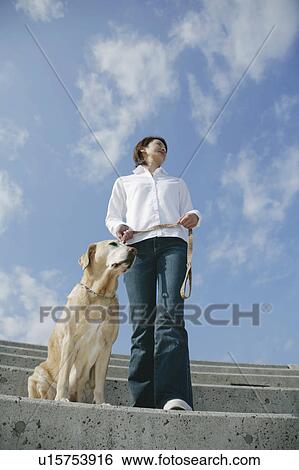 Young woman and Labrador retriever View Large Photo Image Stock Photograph - Young woman and Labrador retriever. Fotosearch