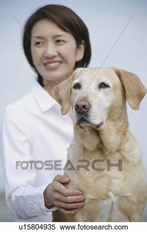 Young woman and Labrador retriever View Large Photo Image Stock Photography - Young woman and Labrador retriever. Fotosearch