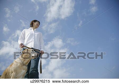 Young woman and Labrador retriever View Large Photo Image Stock Photography - Young woman and Labrador retriever. Fotosearch