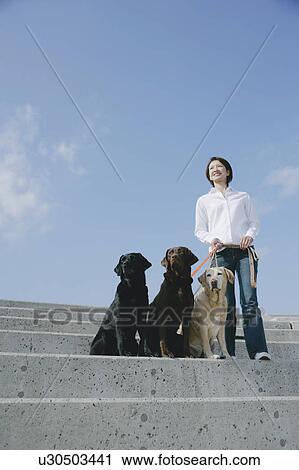 Young woman and Labrador retrievers View Large Photo Image Stock Image - Young woman and Labrador retrievers. Fotosearch