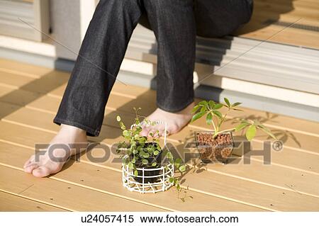 Potted plants beside young woman's feet View Large Photo Image Stock Photography - Potted plants beside young woman's feet. Fotosearch