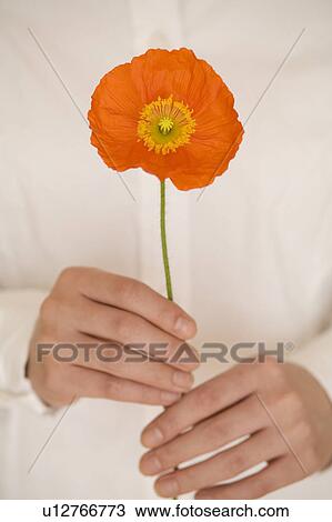 Stock Image - Young woman holding gerbera. Fotosearch