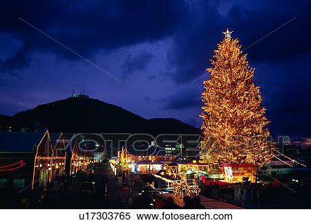 Illuminated Christmas Tree View Large Photo Image Stock Photography - Illuminated Christmas Tree. Fotosearch