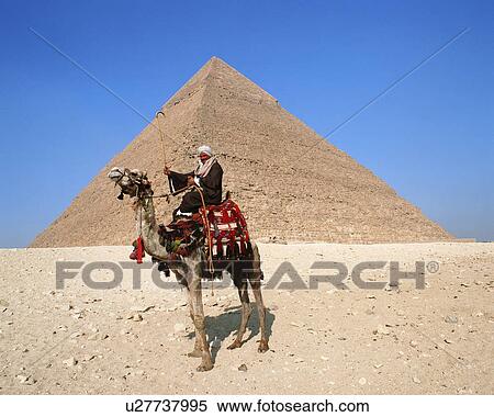 Stock Photography - Camel rider in front of pyramid Giza in Egypt. Fotosearch