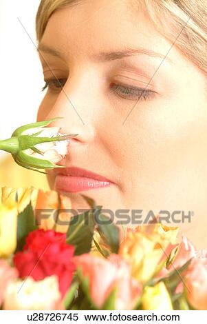 Portrait of Woman sniffing single rose, bouquet in foreground View Large Photo Image Stock Photography - Portrait of Woman sniffing single rose, bouquet in foreground. Fotosearch