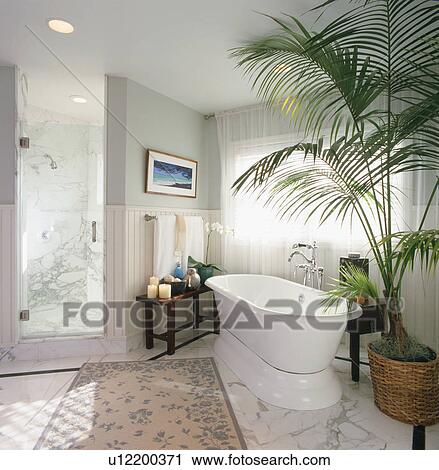 Elegant Contemporary Master Bathroom View Large Photo Image Stock Image - Elegant Contemporary Master Bathroom. Fotosearch
