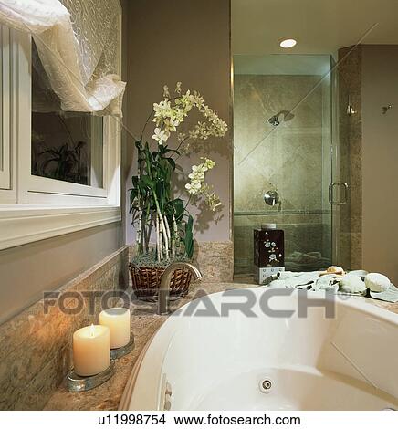 Picture - Contemporary master bathroom. Fotosearch