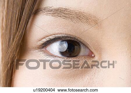 Picture - Portrait of woman. Fotosearch