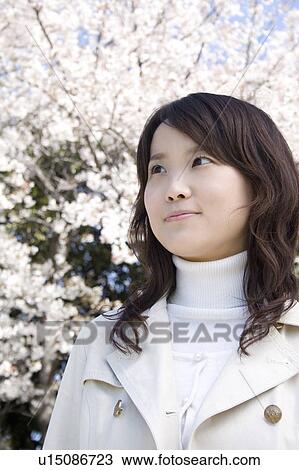 Stock Image - Cherry tree and woman. Fotosearch
