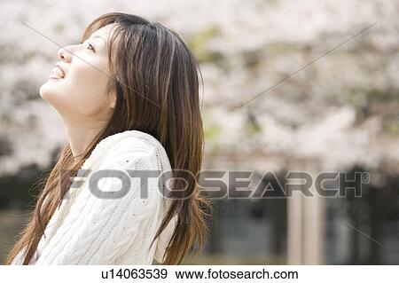 Cherry tree and woman View Large Photo Image Stock Photo - Cherry tree and woman. Fotosearch