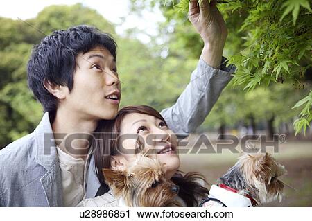 Image of dating View Large Photo Image Stock Image - Image of dating. Fotosearch