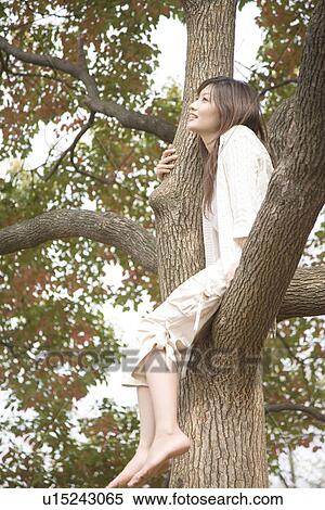 Woman who climbs a tree View Large Photo Image Stock Photography - Woman who climbs a tree. Fotosearch