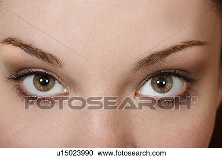 Stock Image - Beauty shot of woman's eyes. Fotosearch