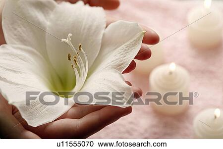 Manicure View Large Photo Image Stock Image - Manicure. Fotosearch