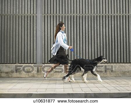 Stock Photo - Woman walking with Afghan Hound down pavement in a breeze, Alicante, Spain,. Fotosearch