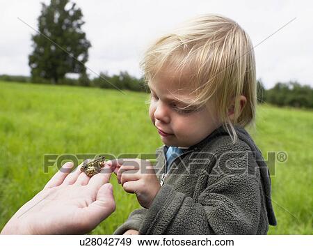 Young girl touching a small frog held in a man's hand. View Large Photo Image Stock Photo - Young girl touching a small frog held in a man's hand.. Fotosearch