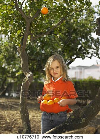 Portrait of young girl (5-7) holding oranges in front of tree, Alicante, Spain, View Large Photo Image Stock Image - Portrait of young girl (5-7) holding oranges in front of tree, Alicante, Spain,. Fotosearch