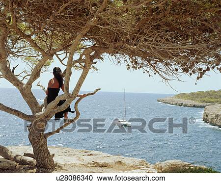 Woman sitting in a tree with a yacht going by. View Large Photo Image Stock Image - Woman sitting in a tree with a yacht going by.. Fotosearch
