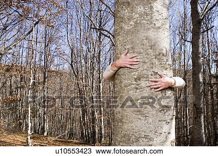 Stock Image - Woman taking a tree in her arms.. Fotosearch