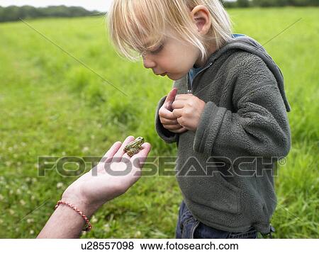 Young girl looking at a small frog held in a man's hand. View Large Photo Image Stock Photo - Young girl looking at a small frog held in a man's hand.. Fotosearch