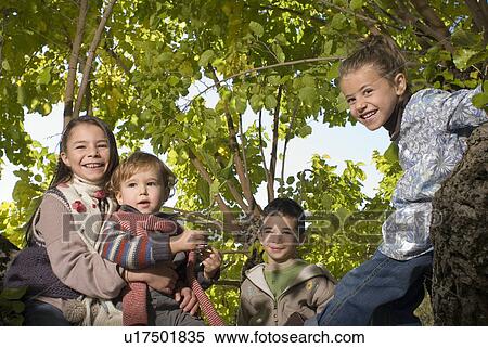 Group of kids in a tree. View Large Photo Image Stock Photography - Group of kids in a tree.. Fotosearch