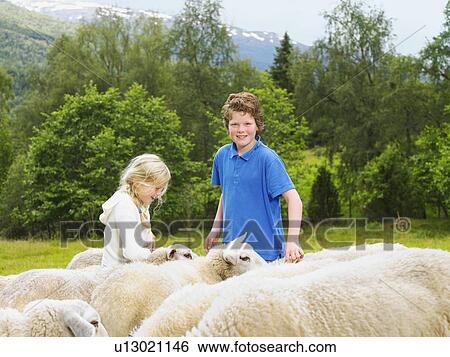 Stock Photograph - Young boy and young girl standing with sheep in a field smiling.. Fotosearch
