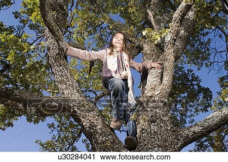 Young girl climbing in a tree smiling. View Large Photo Image Stock Image - Young girl climbing in a tree smiling.. Fotosearch