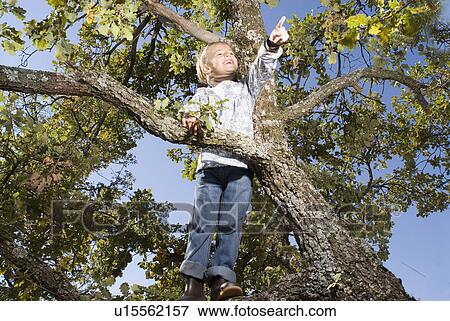 Stock Photo - Young girl climbing in a tree smiling.. Fotosearch