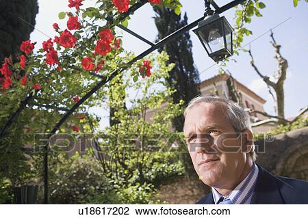 Businessman in leafy gardens View Large Photo Image Stock Image - Businessman in leafy gardens. Fotosearch