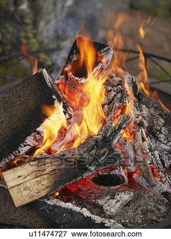 Burning fire in fire pit. View Large Photo Image Stock Photo - Burning fire in fire pit.. Fotosearch