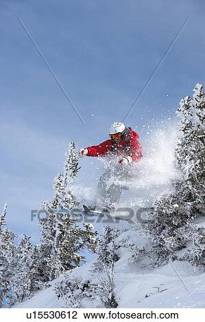 Austria, Saalbach, male skier jumping through trees on slope View Large Photo Image Stock Image - Austria, Saalbach, male skier jumping through trees on slope. Fotosearch