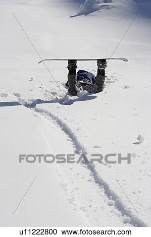 Fallen male snowboarder lying face down in snow View Large Photo Image Stock Image - Fallen male snowboarder lying face down in snow. Fotosearch