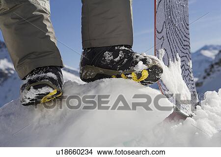 Picture - Snowboarder's feet and snowboard, low section. Fotosearch