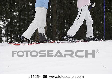 Stock Photography - Low section side view of two young women walking, using snow-shoes. Fotosearch
