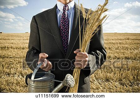 Businessman in a wheat field holding wheat. View Large Photo Image Stock Photo - Businessman in a wheat field holding wheat.. Fotosearch