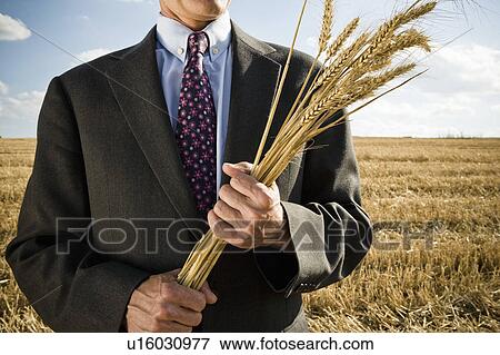 Stock Photo - Businessman in a wheat field holding wheat.. Fotosearch