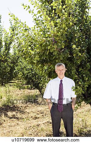 Businessman standing under tree in orchard. View Large Photo Image Stock Photo - Businessman standing under tree in orchard.. Fotosearch