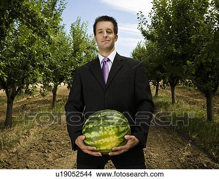 Picture - Man carrying melon in orchard.. Fotosearch