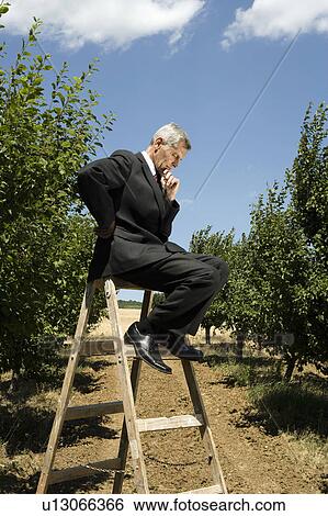 Stock Photograph - Man sitting on ladder holding his chin in orchard.. Fotosearch