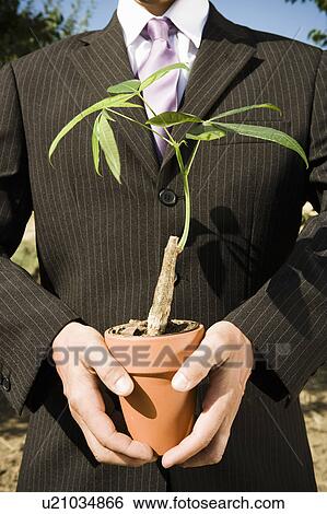 Pair of hands holding potted plant. View Large Photo Image Stock Photograph - Pair of hands holding potted plant.. Fotosearch