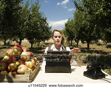 Woman typing at desk in orchard. View Large Photo Image Stock Photo - Woman typing at desk in orchard.. Fotosearch