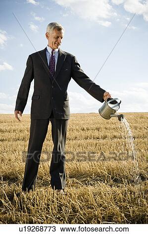 Businessman in a wheat field. View Large Photo Image Stock Image - Businessman in a wheat field.. Fotosearch