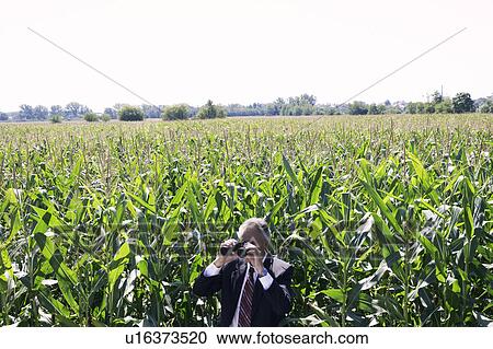 Stock Image - Businessman with binoculars in cornfield.. Fotosearch