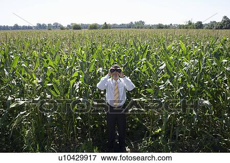 Businessman with binoculars in cornfield. View Large Photo Image Stock Photo - Businessman with binoculars in cornfield.. Fotosearch