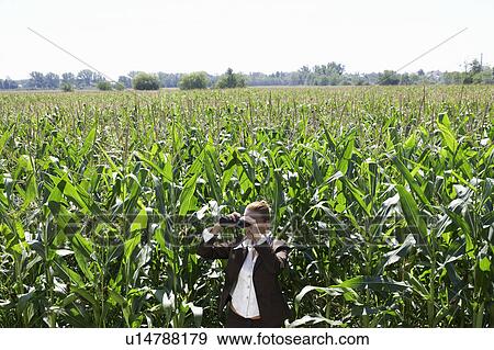 Businesswoman with binoculars in corn field. View Large Photo Image Stock Photo - Businesswoman with binoculars in corn field.. Fotosearch