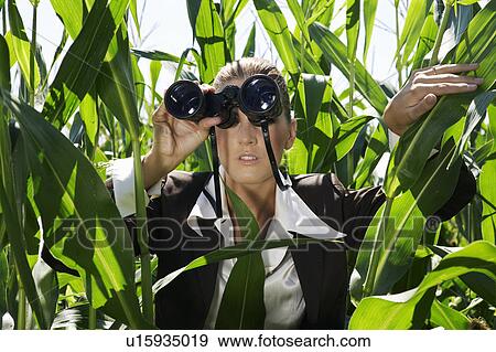 Businesswoman with binoculars in corn field. View Large Photo Image Stock Photo - Businesswoman with binoculars in corn field.. Fotosearch