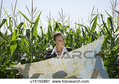 Stock Image - Businesswomen looking at map in cornfield.. Fotosearch